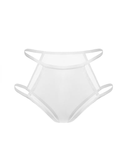 Sheer Mesh Briefs, Teja