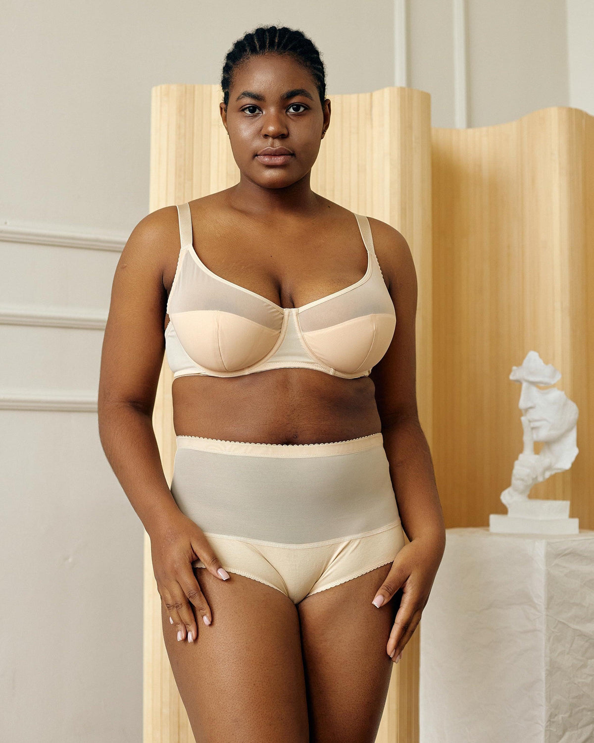 Plus Size High-waist Panties Full Coverage, Procyon-3